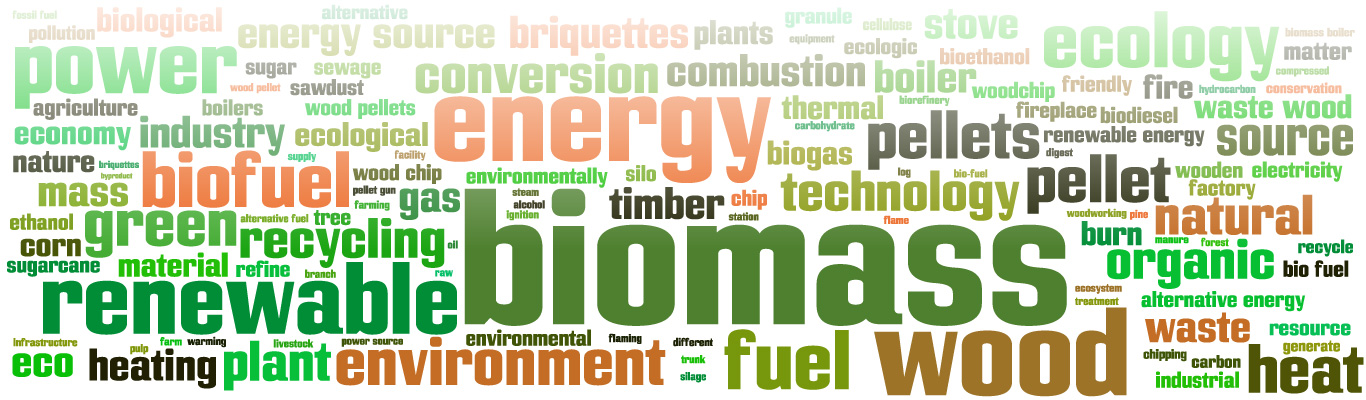 Biofuel, pellets, briquettes